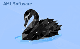 Chudovo OÜ Projekt - AML-Software-Entwicklung und -Wartung