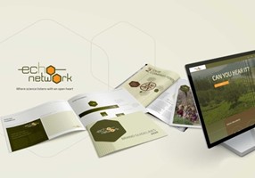 Tea & Oranges Design Projekt - Markenbildung, Website- und Publikationsdesign