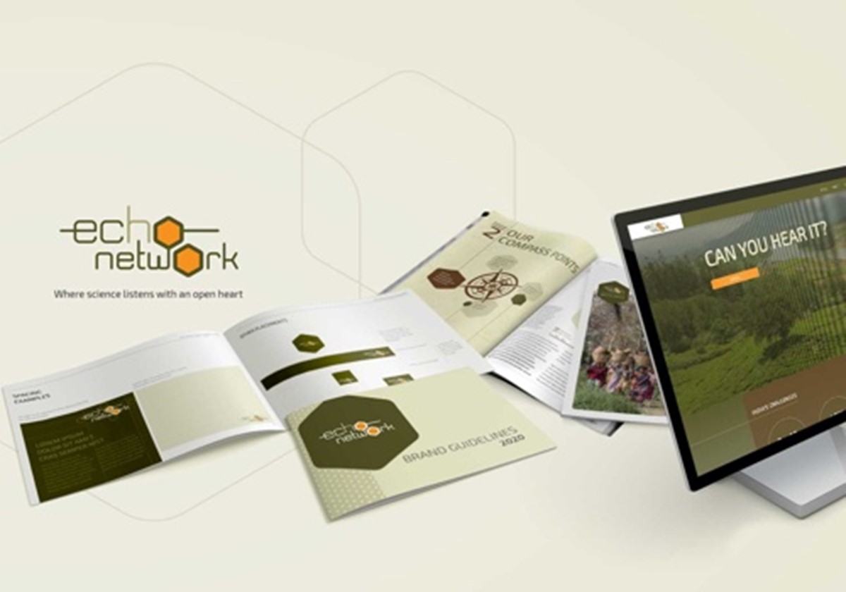 Markenbildung, Website- und Publikationsdesign - The Echo Network