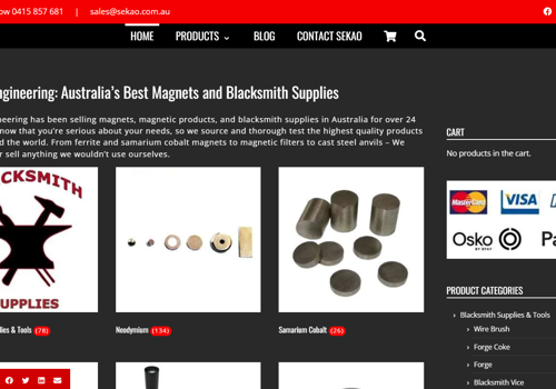 Goldfish SEO Projekt - E-Commerce-Website für Magnetics