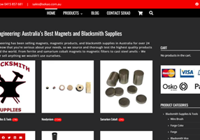 Goldfish SEO Projekt - E-Commerce-Website für Magnetics