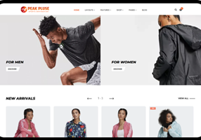 BrainSpate Projekt - PeakPulse Sports: Skalierung von E-Commerce mit hohem Traffic