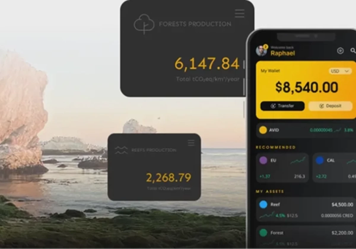 Unterstützung bei der Markteinführung einer App für Klimainvestitionen - AVID Climate
