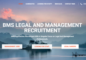 Goldfish SEO Projekt - BMS Recruitment, Webdesign, Entwicklung und SEO