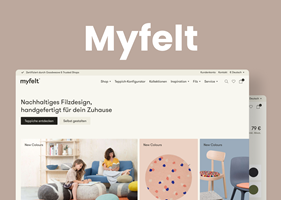 Dinarys GmbH Projekt - Myfelt