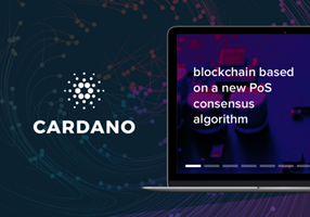 SEROKELL Projekt - CARDANO SL