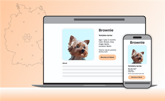 Chudovo OÜ Projekt - Software für Tierheime