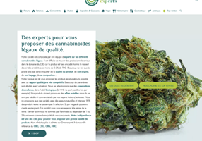 Limbus Studio Projekt - E-Commerce-Website greenexperts.fr