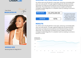 CreatikLab Projekt - Google Ads- und SEO-Kampagne mit 60 % Wachstum