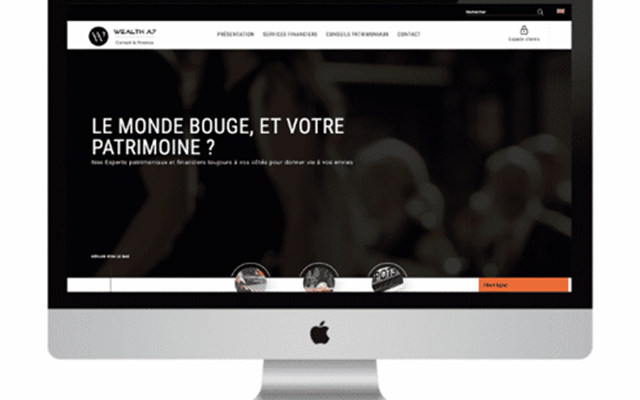 Web Maniac Projekt - Website-Entwicklung für Wealth A7