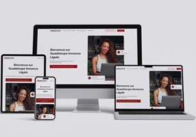 IDNET Projekt - Entwicklung von drei Websites zum Schalten von Legal-Anzeigen