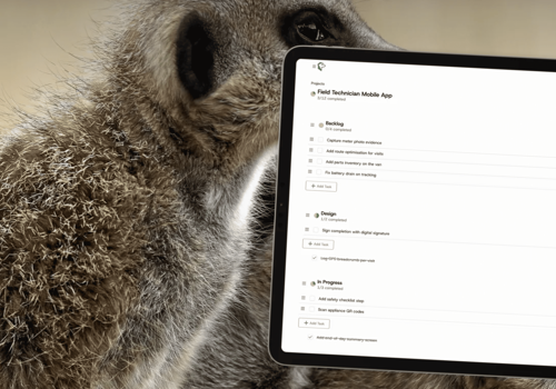 Mecexis Projekt - Merkandoo: Projekte, Zeitplanung und Teamarbeit