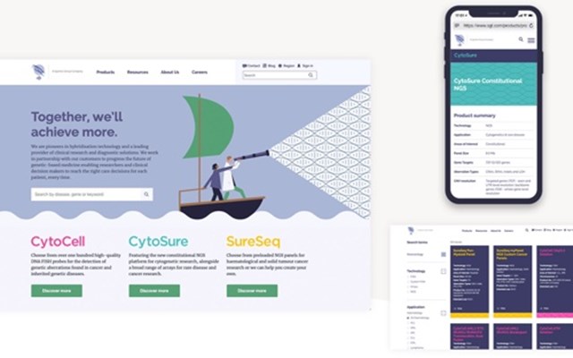 UP THERE, EVERYWHERE Projekt - Entwicklung einer Marke und einer digitalen Strategie, die zu OGT passt