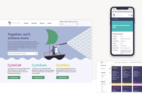 UP THERE, EVERYWHERE Projekt - Entwicklung einer Marke und einer digitalen Strategie, die zu OGT passt