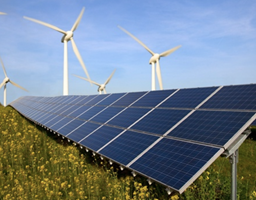 Solway Projekt - EcoSubsidy App: Förderung grüner Initiativen
