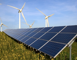 Solway Projekt - EcoSubsidy App: Förderung grüner Initiativen