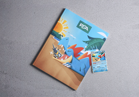 BRIDGE Projekt - Titelseite des PSA-Magazins