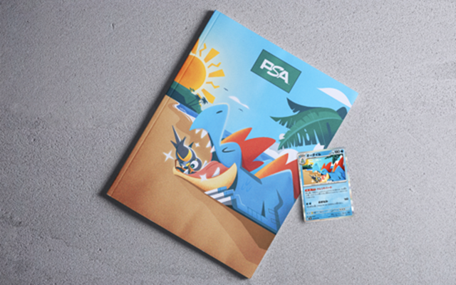 BRIDGE Projekt - Titelseite des PSA-Magazins