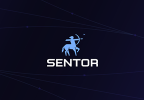 NIKX Technologies B.V. Projekt - Sentor, Entity-basierte Sentimentanalyse