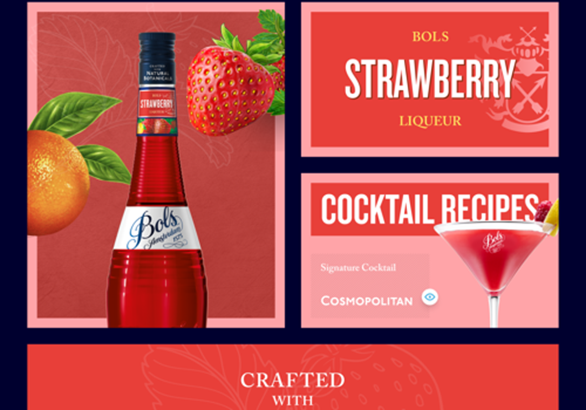 Lucas Bols Cocktail Gallery - 