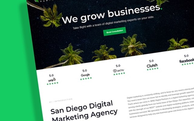AngleBrackets.io Projekt - Website von Wise Digital Partners