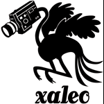 xaleo studio Logo