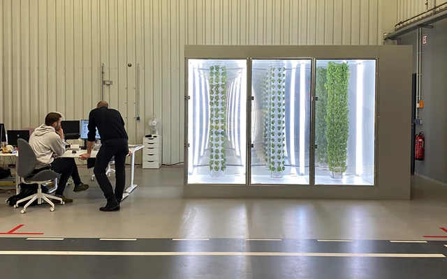SmartTek Solutions Projekt - Lite&Fog