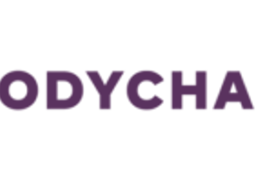 Mediacharge Projekt - BodyChange