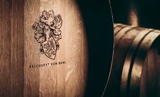 borntocreate GmbH Projekt - Rebranding und Website-Launch