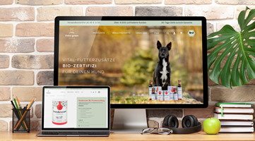 PulseConnect UG Projekt - Website Relaunch Migration auf Shopify