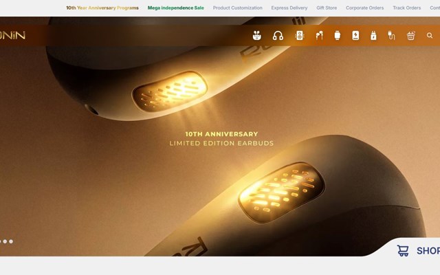 Artx Pro Digital Marketing Agency Projekt - RONIN