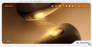 Artx Pro Digital Marketing Agency Projekt - RONIN