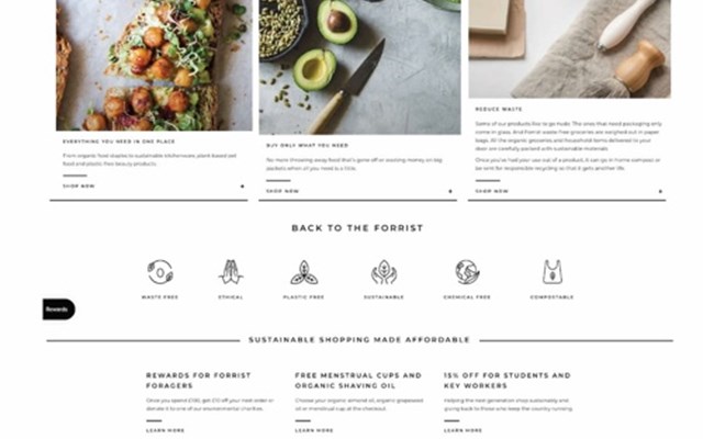 From Scratch Communications Projekt - Kreativer Conversion-Text für umweltfreundlichen E-Commerce