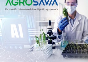 Adintelo Projekt - Düngemittel-Vorhersagesystem mit KI