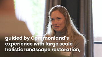 Dutch Picture Industry Projekt - Bioregionales Weblabor