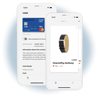 Silk Data Projekt - Fidesmo API-Integration