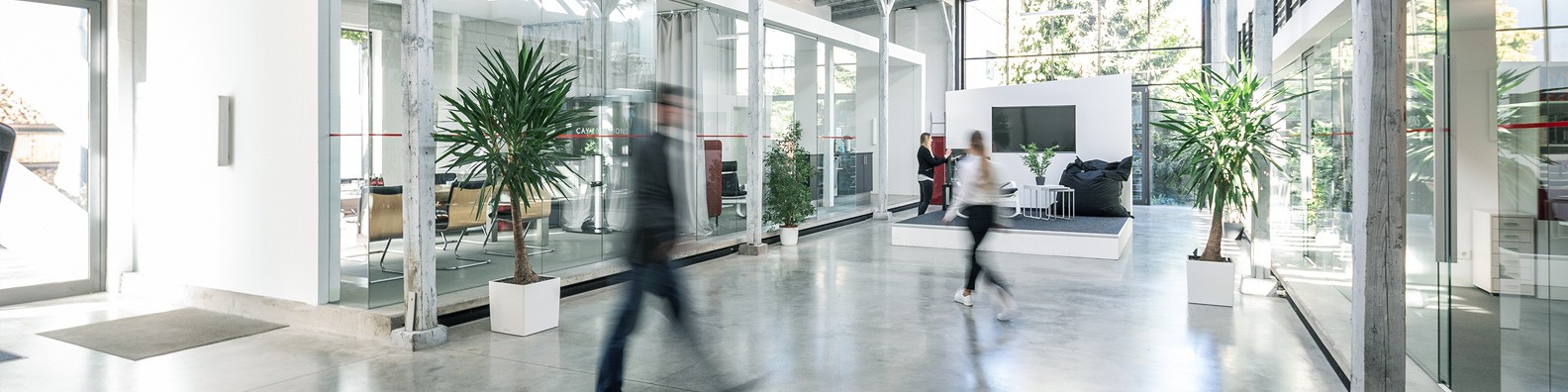 CAY SOLUTIONS GmbH Headerbild