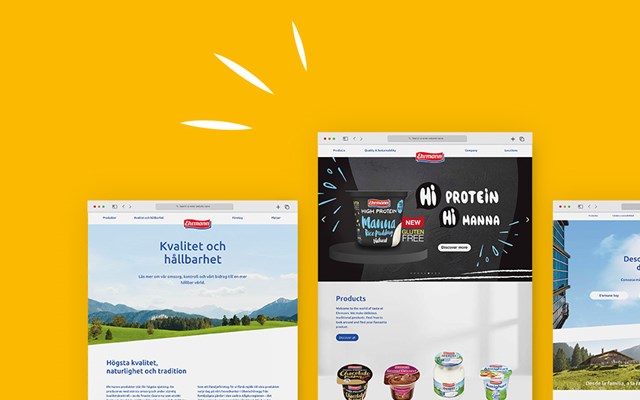 Melters Werbeagentur GmbH Projekt - Website-Relauch