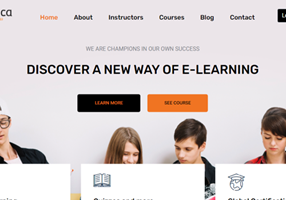 Ambiguous Solution Pvt. Ltd. Projekt - Website-Entwicklung für eine E-Learning-Website