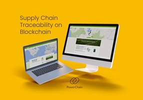 Ionita Consulting Projekt - Lieferkettenrückverfolgbarkeit per Blockchain