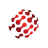 SANeForce Logo
