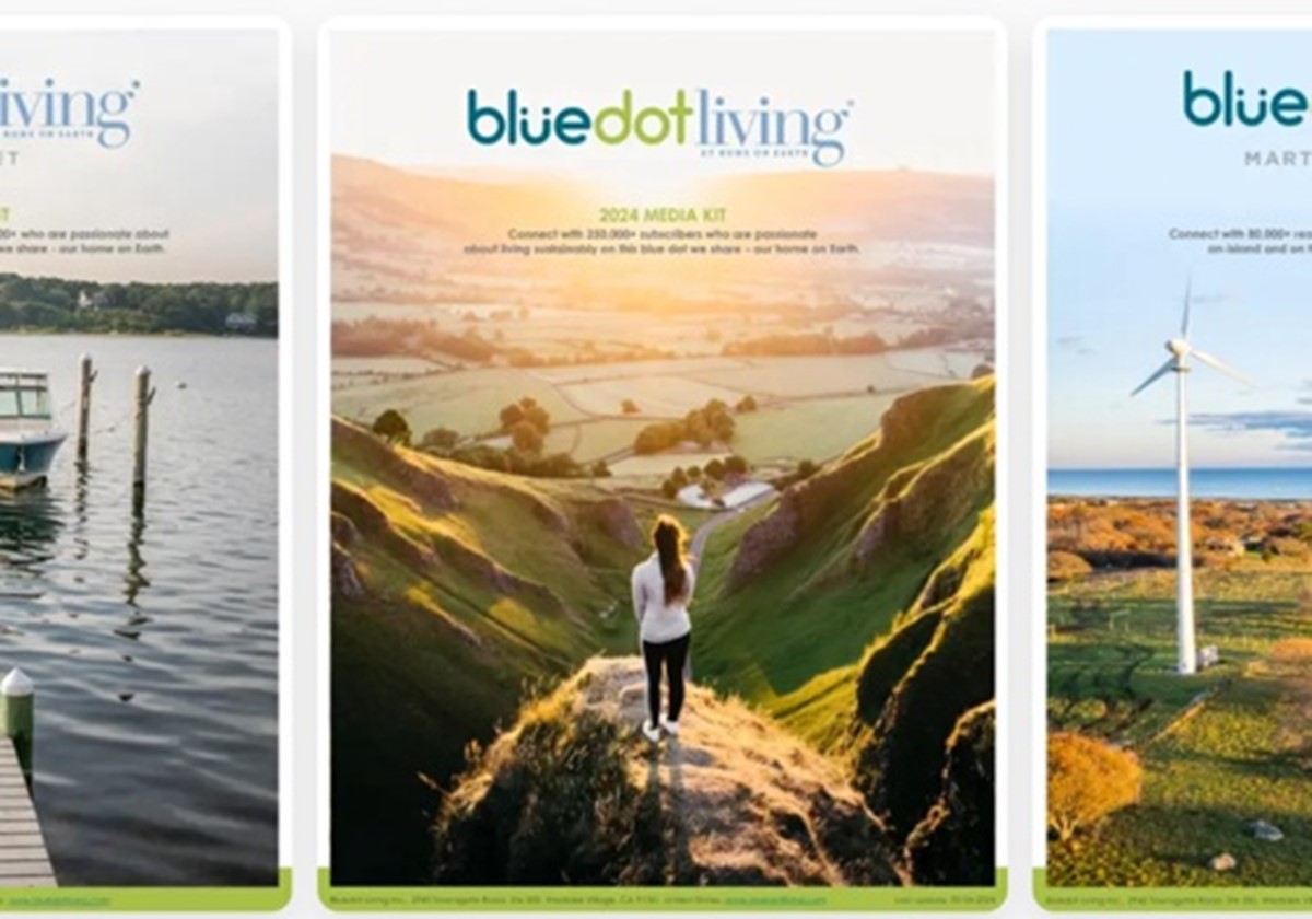 Marketingstrategien zur Ansprache nachhaltiger Marken - Bluedot Living