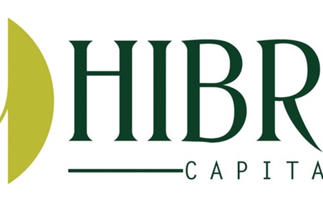 IT ETHIOPIA Projekt - HIBRET CAPITAL INVESTMENT COMPANY