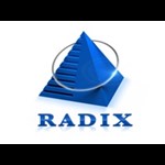 Radixweb Logo