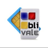 Blivale S.L.