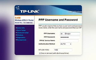 Chudovo OÜ Projekt - Web-Schnittstelle für TP-Link-Switches