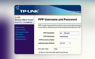 Chudovo OÜ Projekt - Web-Schnittstelle für TP-Link-Switches