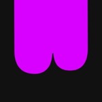 Big Neurons Logo