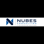 Nubes Consulting Digital SL Logo