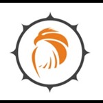 Pattronize InfoTech Logo